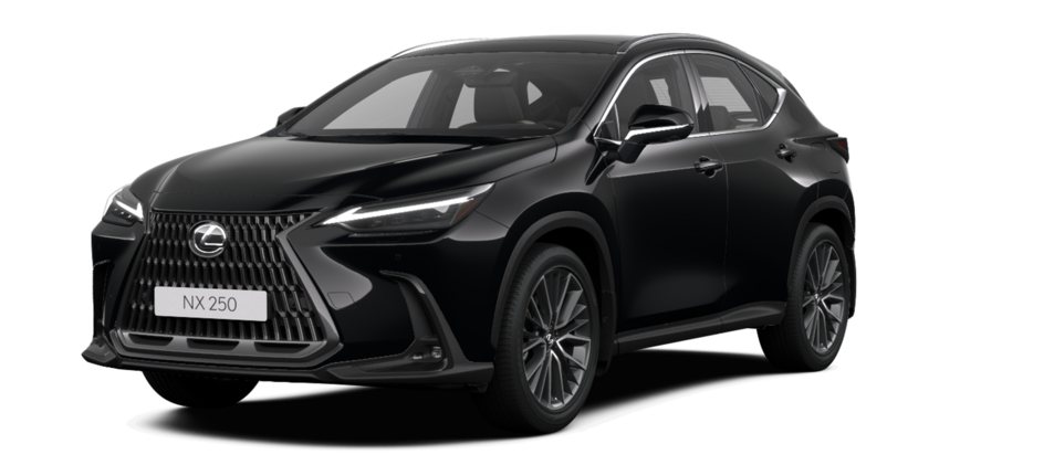 Новый автомобиль Lexus NX 250 Luxuryв городе Астана ДЦ - Lexus KZ свободный склад