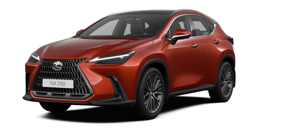 Новый автомобиль Lexus NX 250 Luxuryв городе Астана ДЦ - Lexus KZ свободный склад