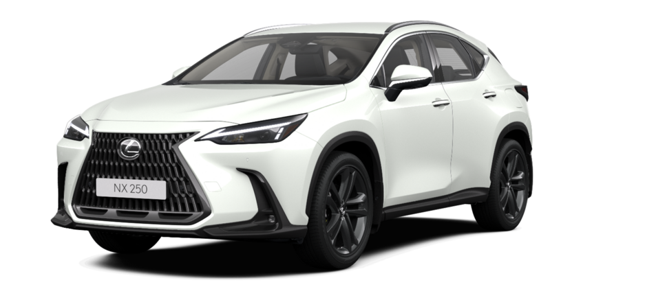 Новый автомобиль Lexus NX 250 Premiumв городе Астана ДЦ - Lexus KZ свободный склад