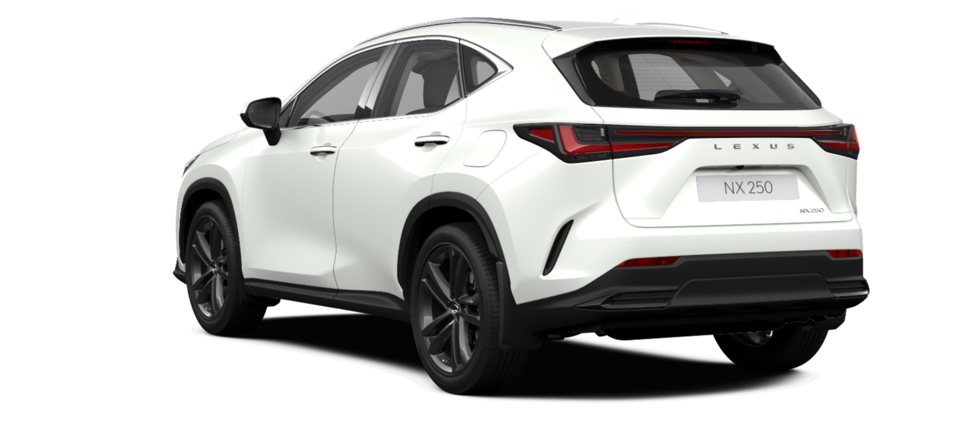 Новый автомобиль Lexus NX 250 Premiumв городе Астана ДЦ - Lexus KZ свободный склад